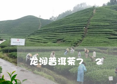 龙润普洱茶7 2/2023040172049